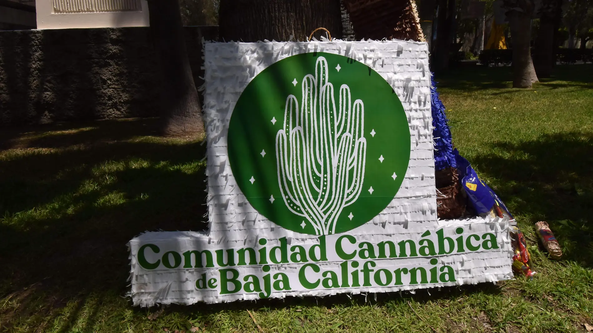 legalizacion de marihuana